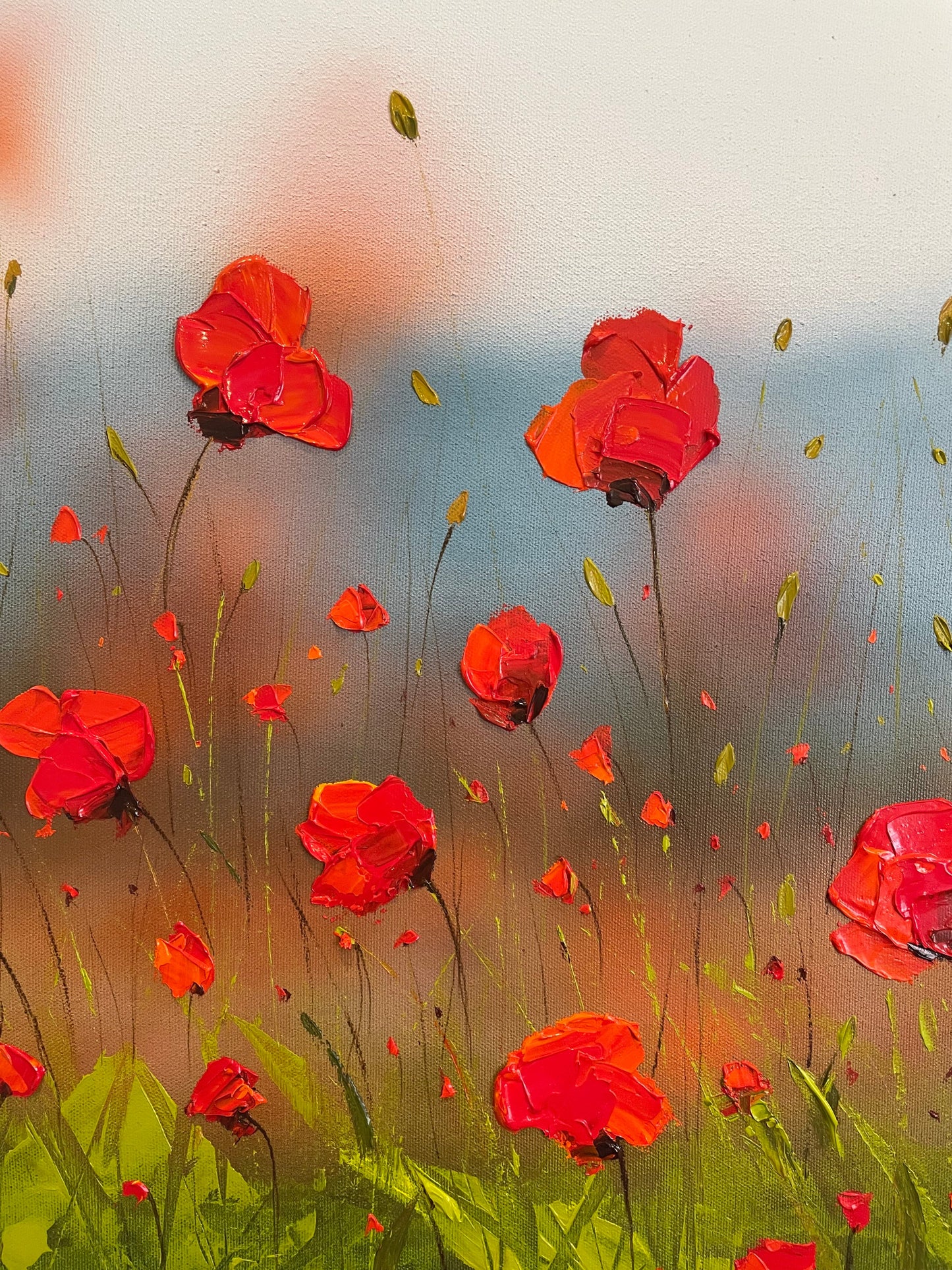 Peaceful Poppies