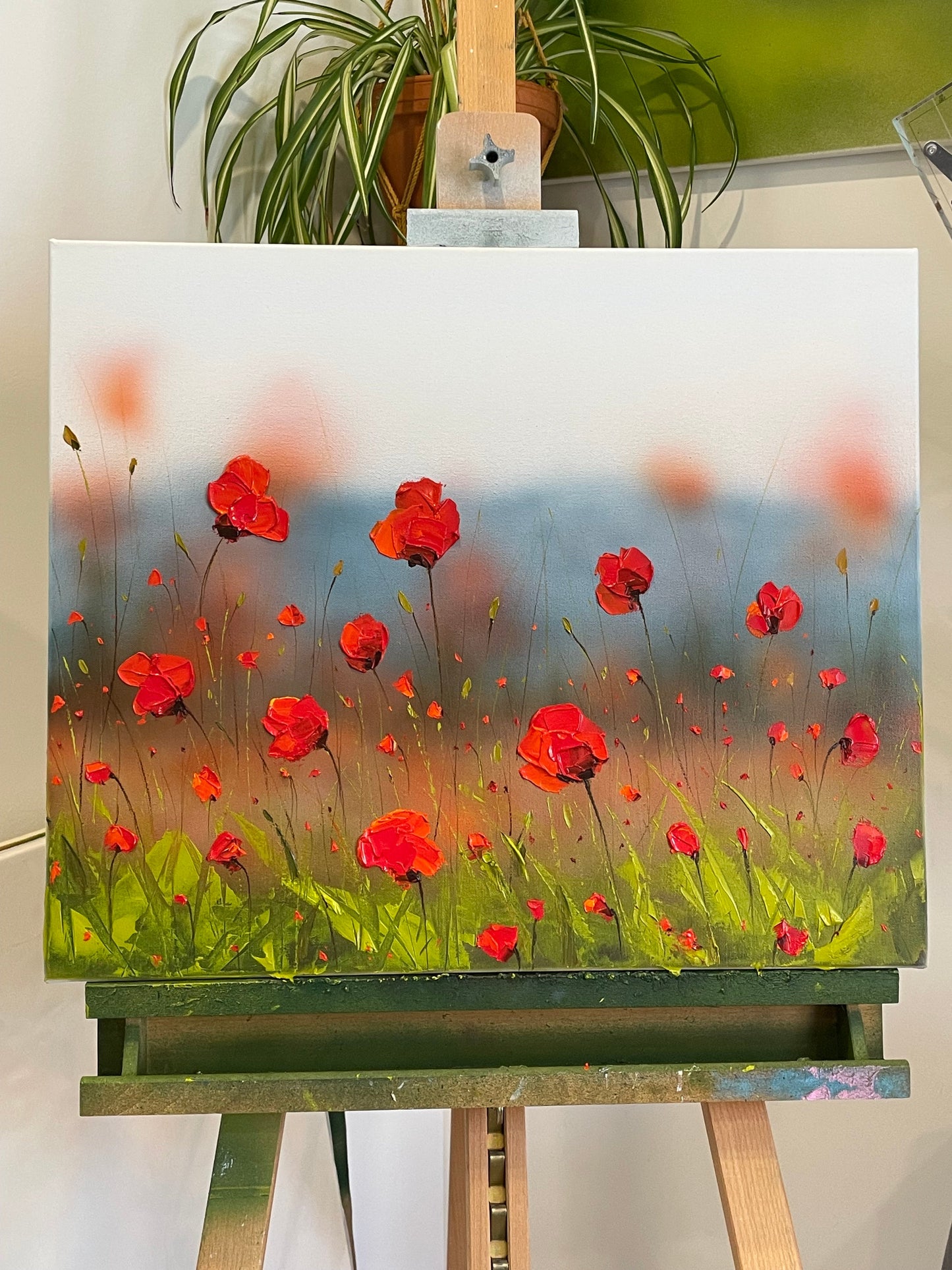 Peaceful Poppies