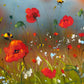 Poppies of Plenty