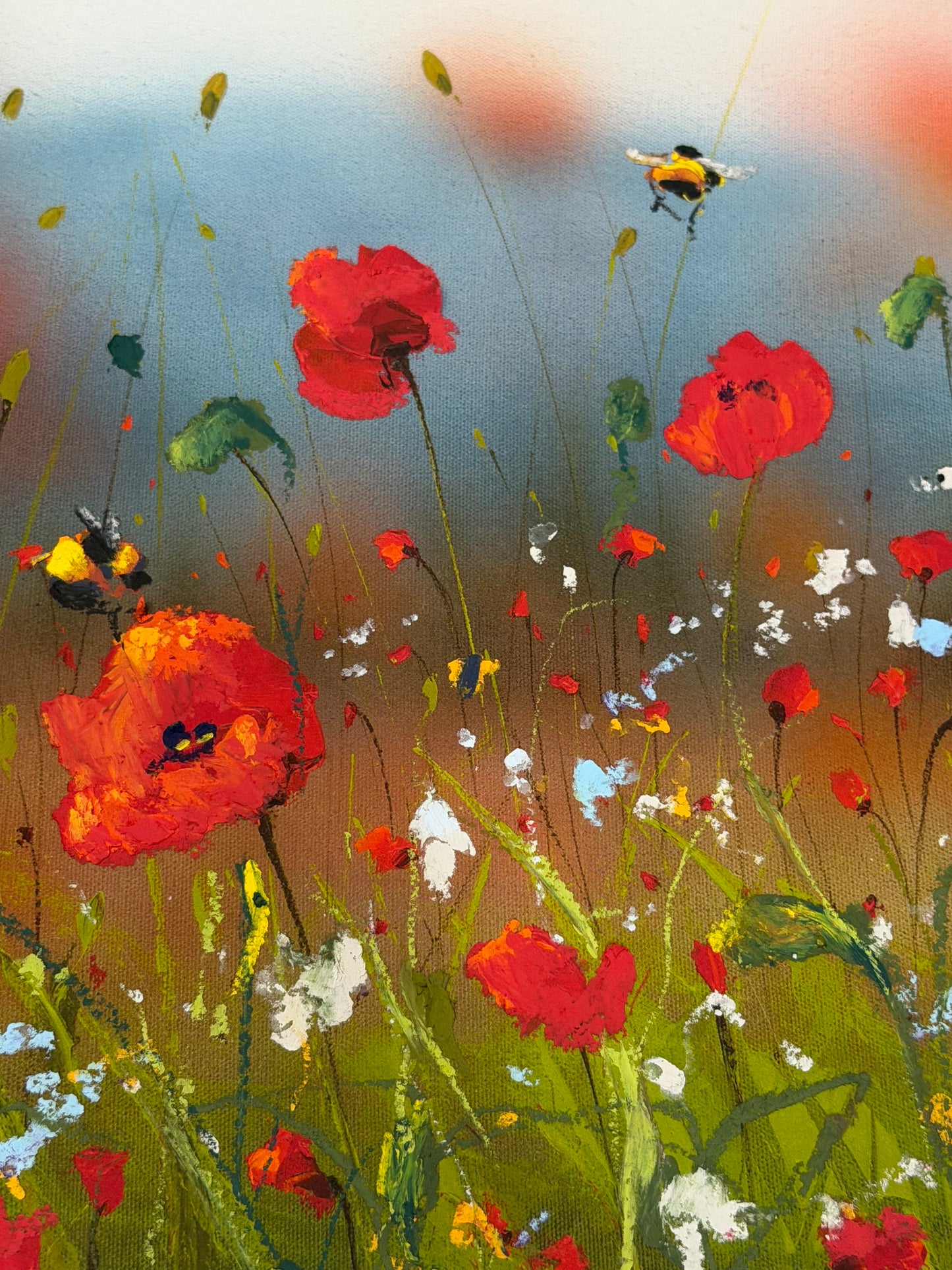 Poppies of Plenty