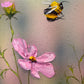 How the Bees Dance