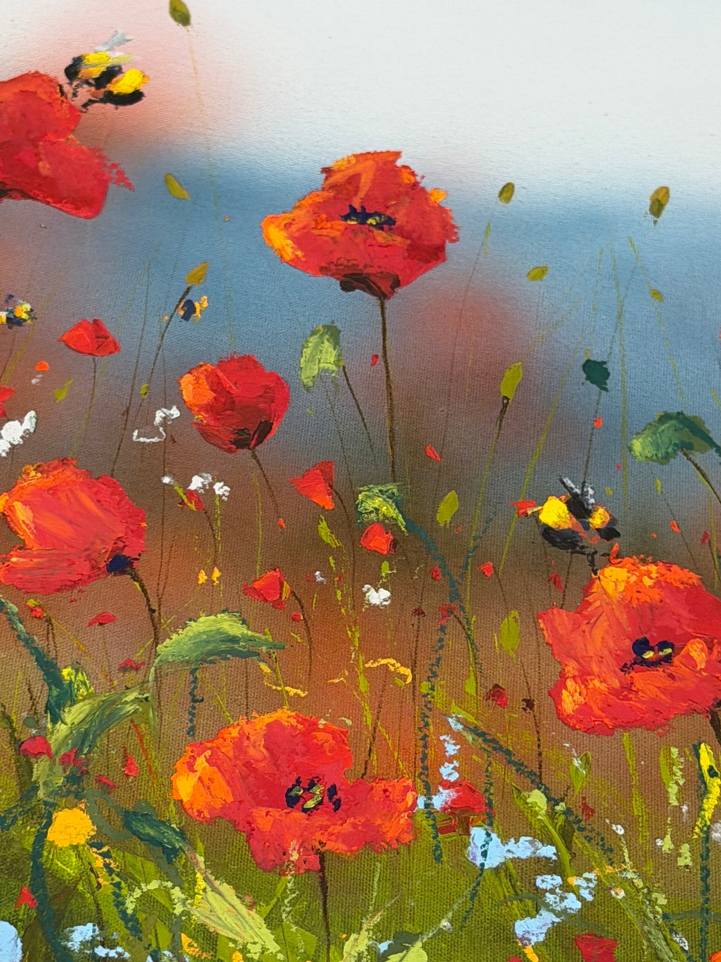 Poppies of Plenty