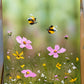 Playful Pollinators