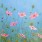 Among the Cosmos