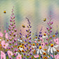 Pink Bloom