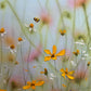 Honeybee delight