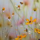 Honeybee delight