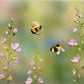 Playful Bees