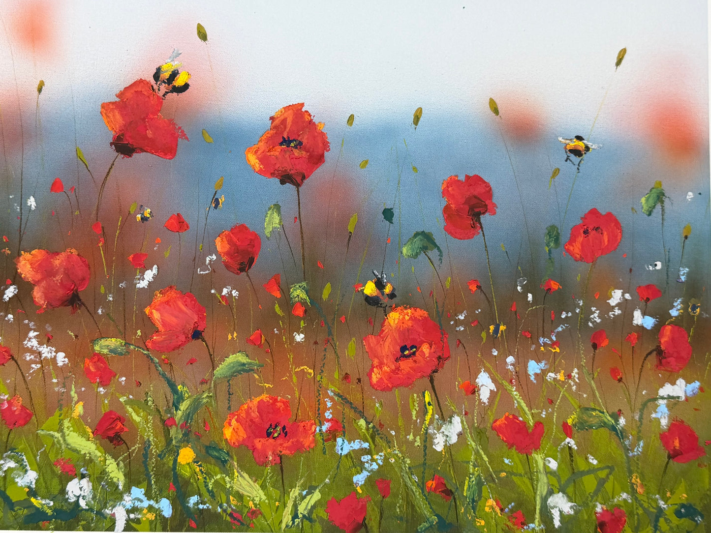 Poppies of Plenty