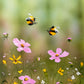 Playful Pollinators