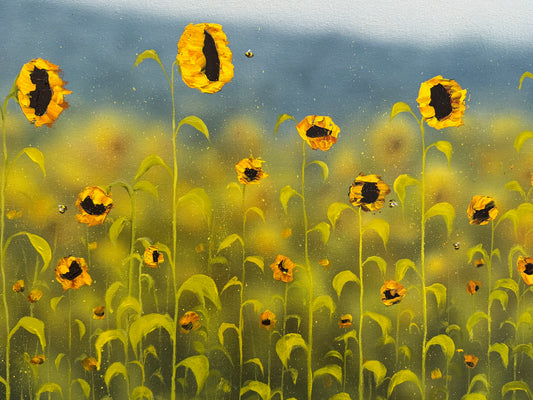 Sunflower Dreams