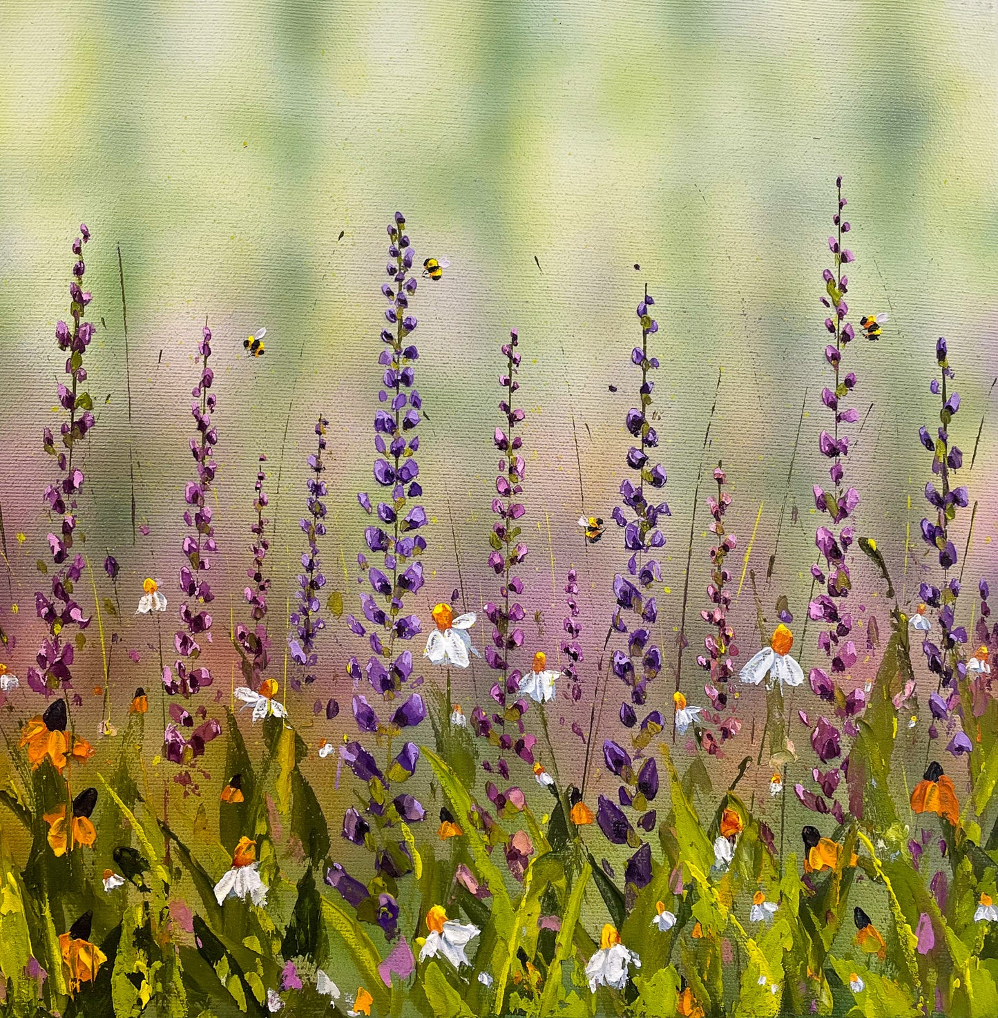 Lupines